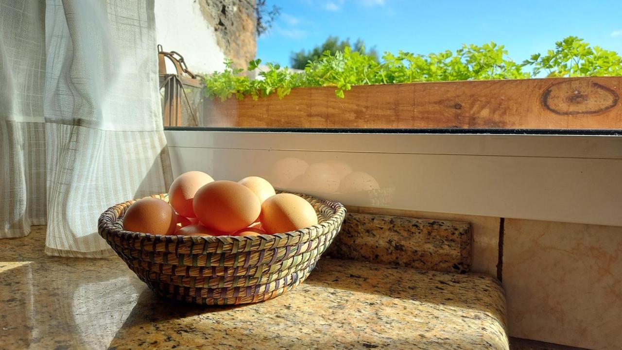 Casa Natura Ainhoa Ла Олива Екстериор снимка
